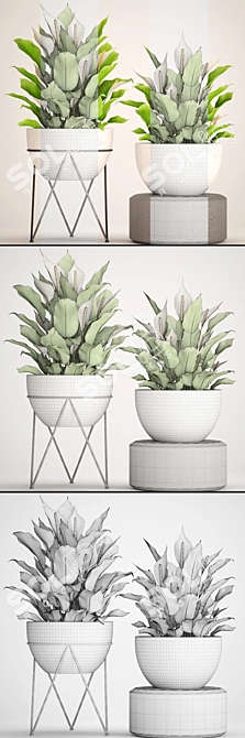 Indoor Plants Collection: 52 Potted Beauties 3D model image 3