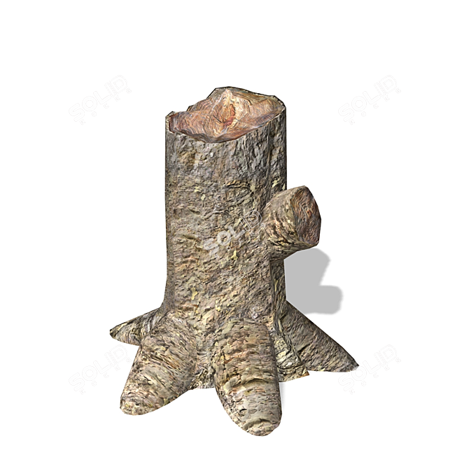 Title: High-Quality 3D Stump Model 3D model image 1