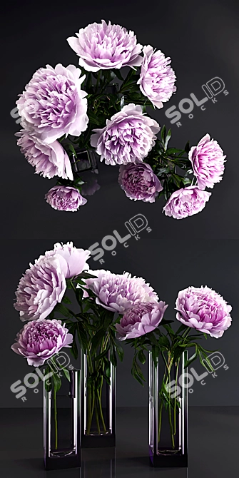 Elegant Peonies Bouquet 3D model image 2