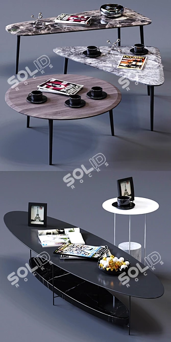 Elegant Molteni&C Coffee Tables Set 3D model image 2