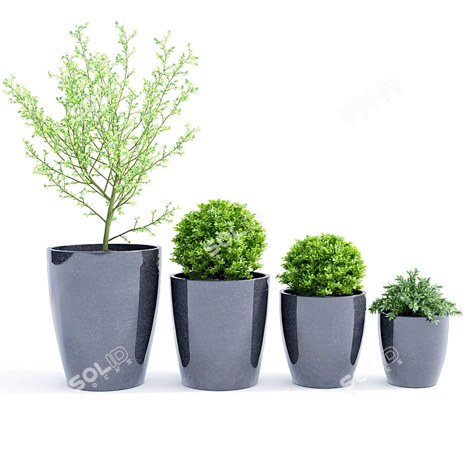 Modern Planters for Stylish Spaces 3D model image 5
