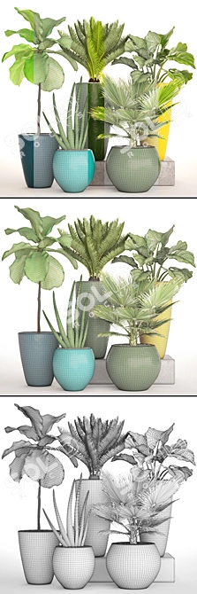 Indoor Potted Plant Collection 3D model image 3