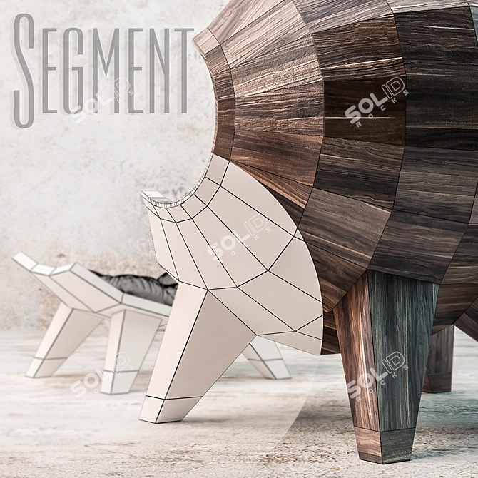 Segment: Designer Solid Wood Chair 3D model image 2