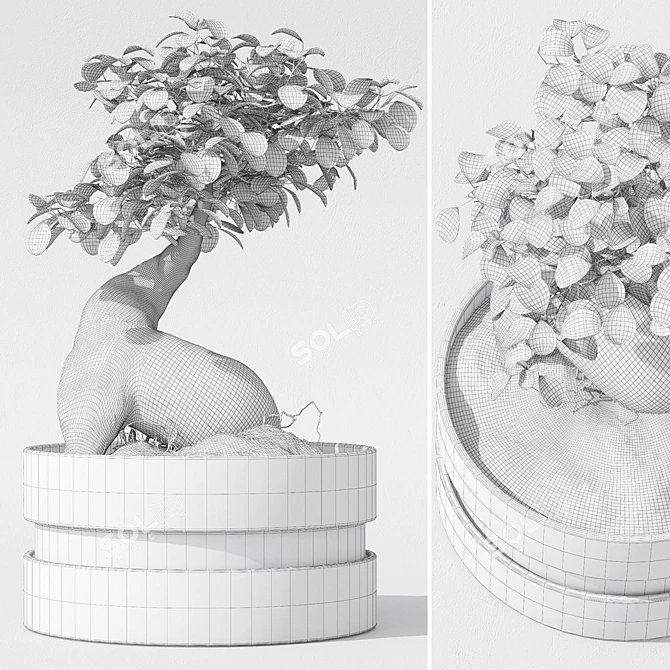 IKEA Ficus Ginseng - 40cm Height - 22cm Pot 3D model image 3