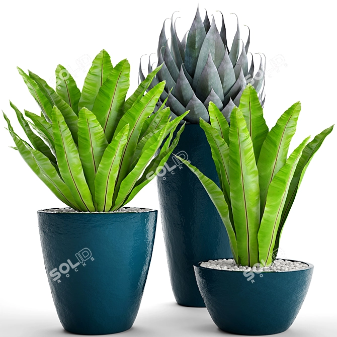 Green Oasis: 60 Asplenium & Agave 3D model image 1