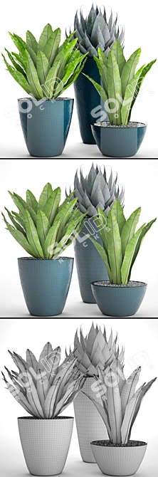 Green Oasis: 60 Asplenium & Agave 3D model image 3