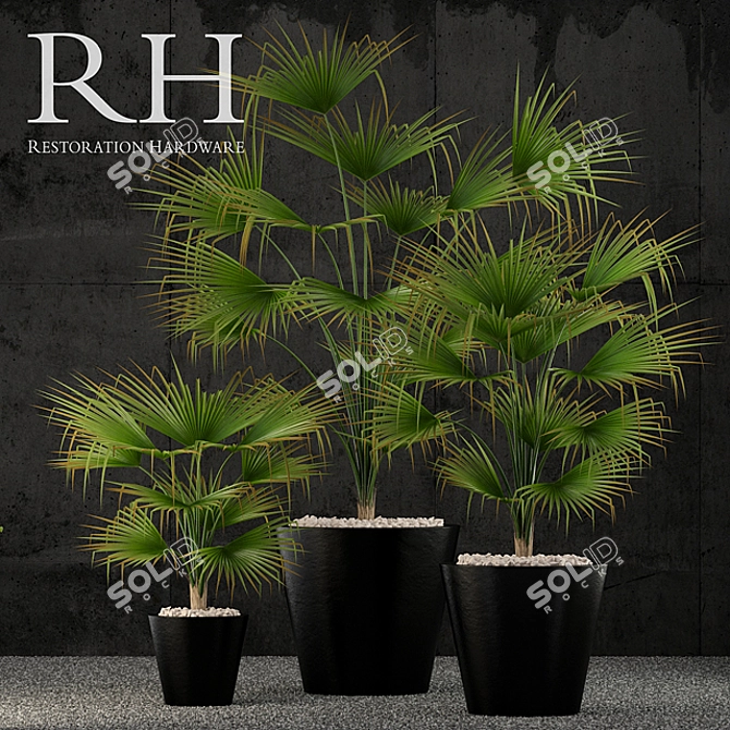 3D Models: Restoration Hardware Caldera Planter 3D model image 1