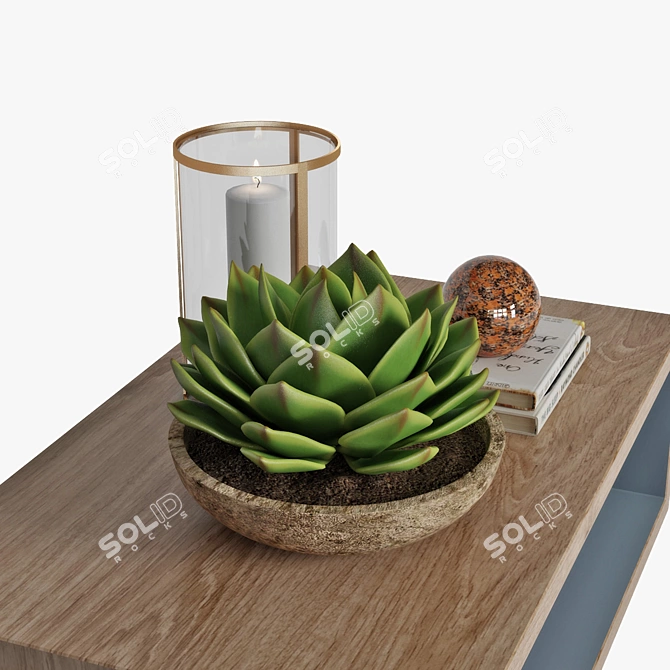 Elegant Decor Coffee Table 3D model image 3