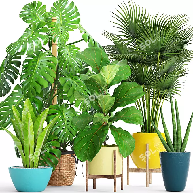 Green Oasis Collection: Potted Plants 3D model image 1