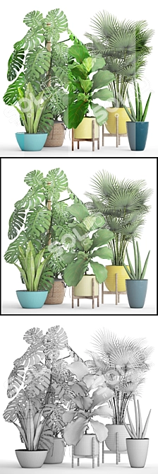 Green Oasis Collection: Potted Plants 3D model image 3