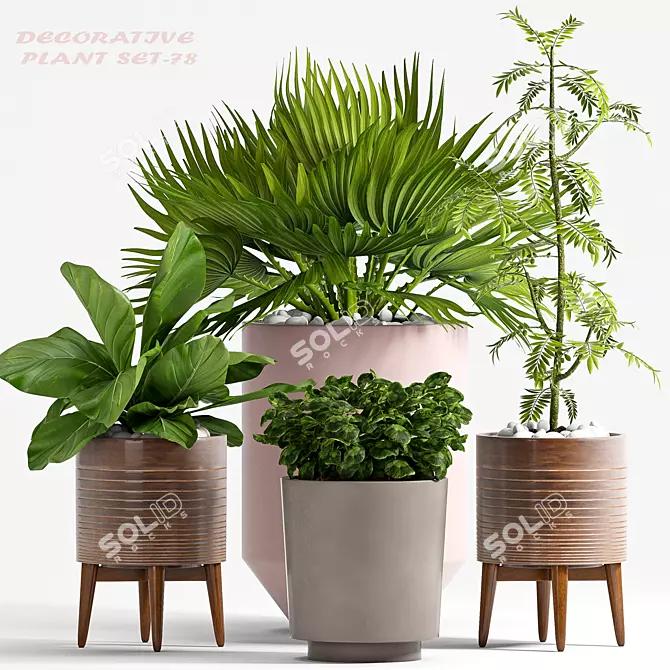 78 Piece Plant Set: Beautiful and Functional 3D model image 1