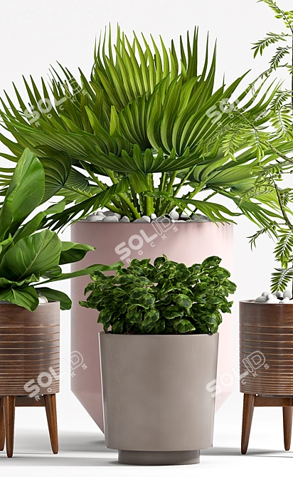 78 Piece Plant Set: Beautiful and Functional 3D model image 3