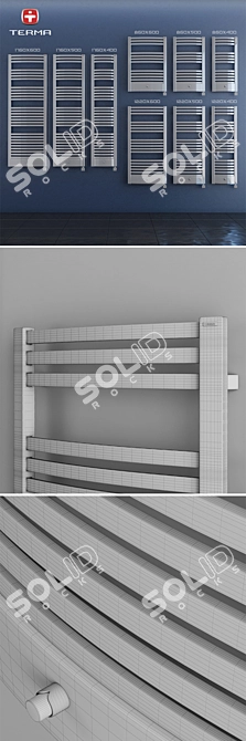Terma Dexter Pro Towel Rails 3D model image 3