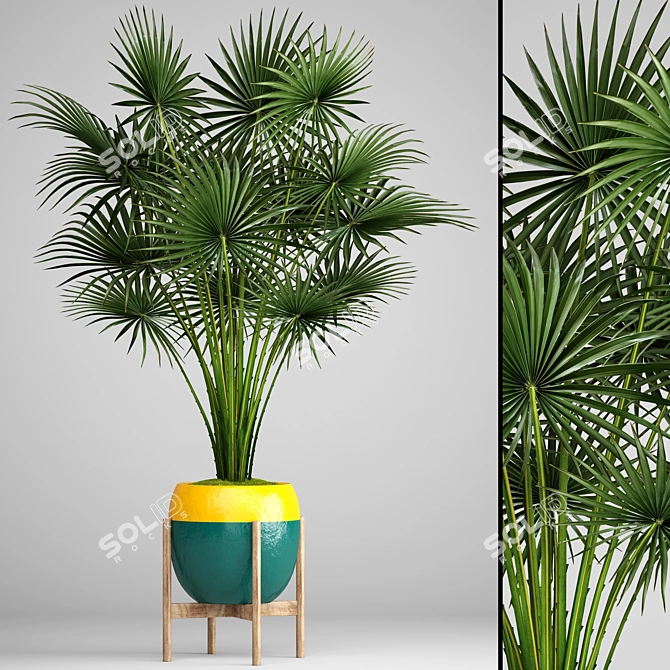 Tropical Vibes: Palm Tree 2 3D model image 1