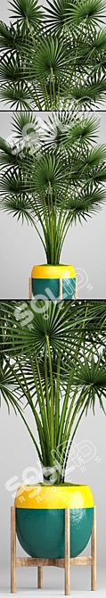 Tropical Vibes: Palm Tree 2 3D model image 2
