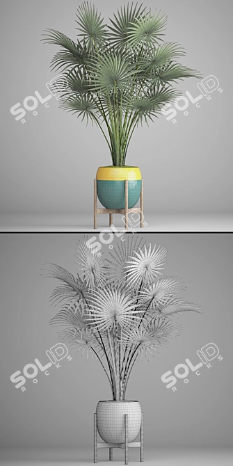Tropical Vibes: Palm Tree 2 3D model image 3