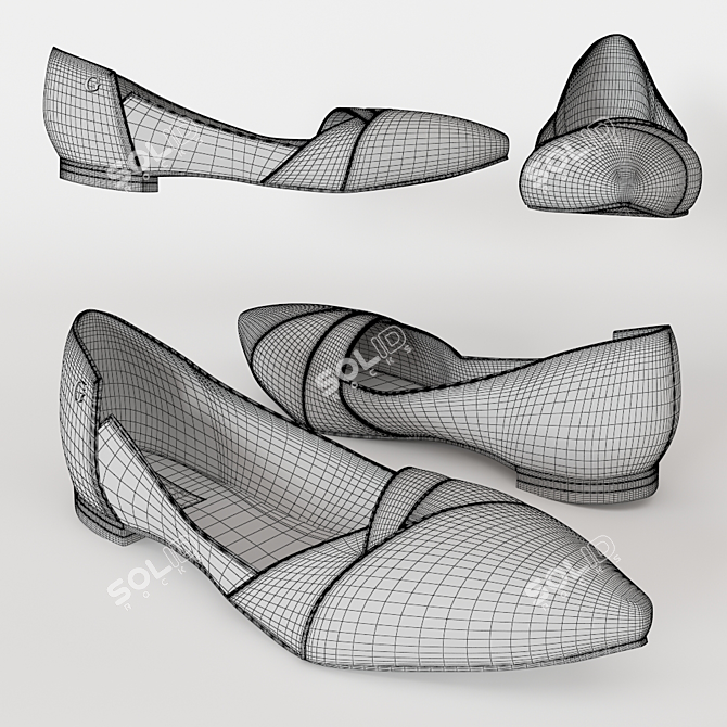 Elegant Women's Shoe Collection 3D model image 2