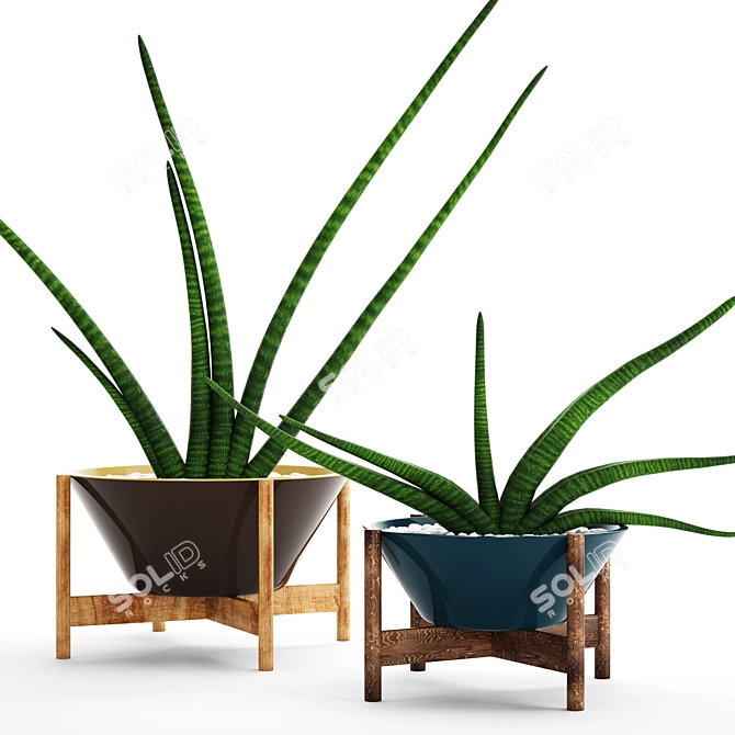  Green Oasis: 64 Sansevieria Collection 3D model image 1