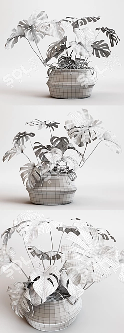 Monstera 2013: Modern, Versatile, Stunning 3D model image 3