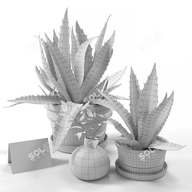  Agave Deluxe Home Decor Set 3D model image 2