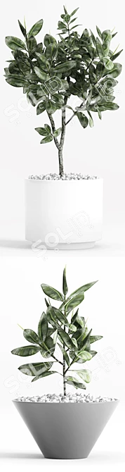 Modernica Ceramic Ficus Planters 3D model image 2