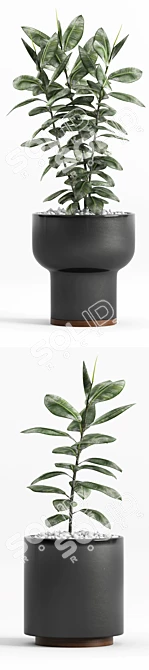 Modernica Ceramic Ficus Planters 3D model image 3