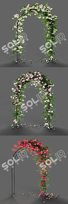 Multifunctional Metal Rose Arch 3D model image 2