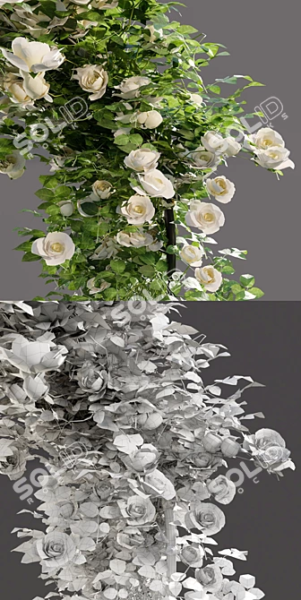 Multifunctional Metal Rose Arch 3D model image 3