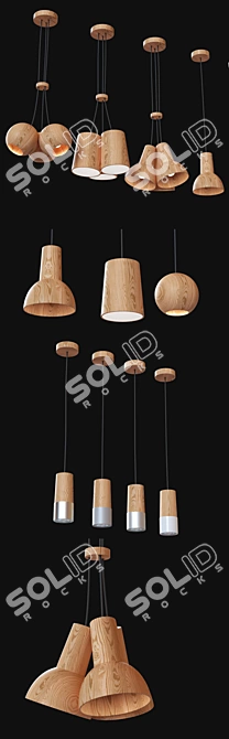 Hvoya Suspended Light Fixtures 3D model image 2