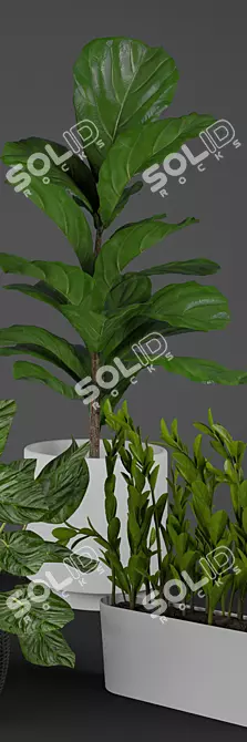Modern Indoor Plant Collection 3D model image 3