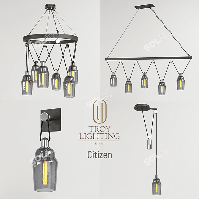 Elegant Citizen Chandelier Set 3D model image 1