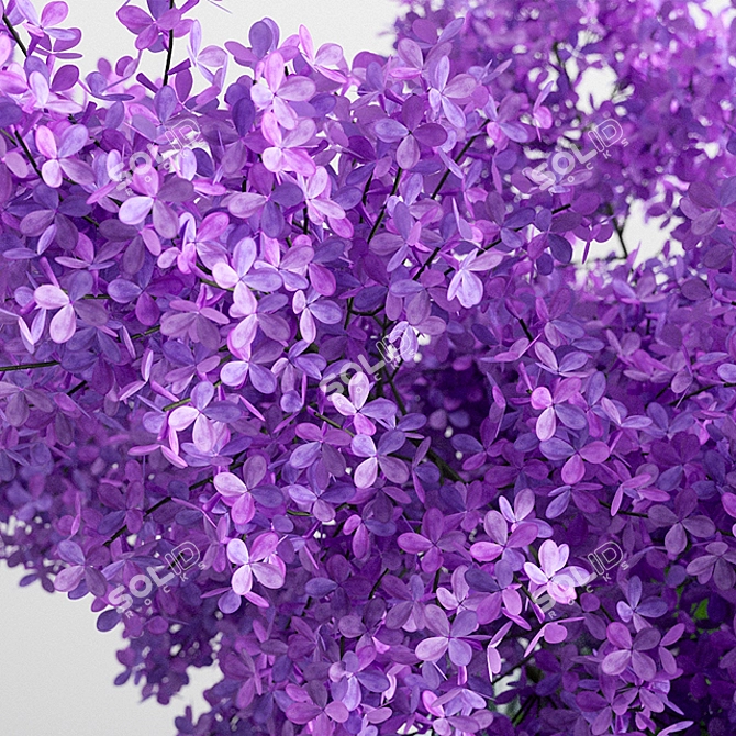 Lilac Jar Bloom 3D model image 2