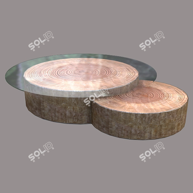 Round Wooden Living Room Table 3D model image 1