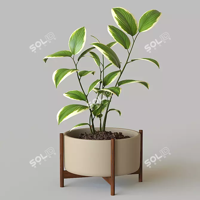 Modern Pot Plant: Stylish Décor for Your Space 3D model image 1