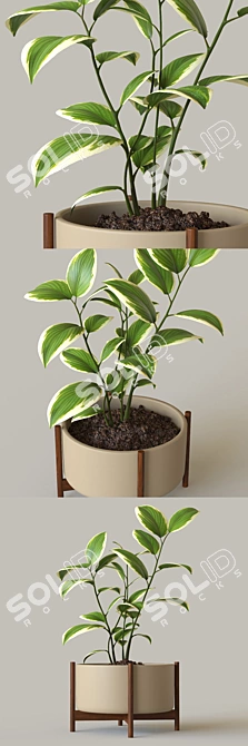 Modern Pot Plant: Stylish Décor for Your Space 3D model image 2