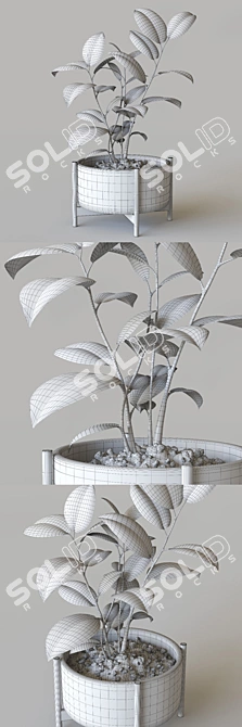 Modern Pot Plant: Stylish Décor for Your Space 3D model image 3