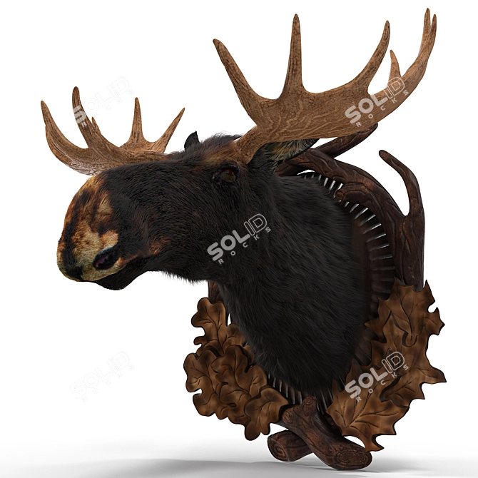 Wooden Medallion with Elk Head 3D model image 1