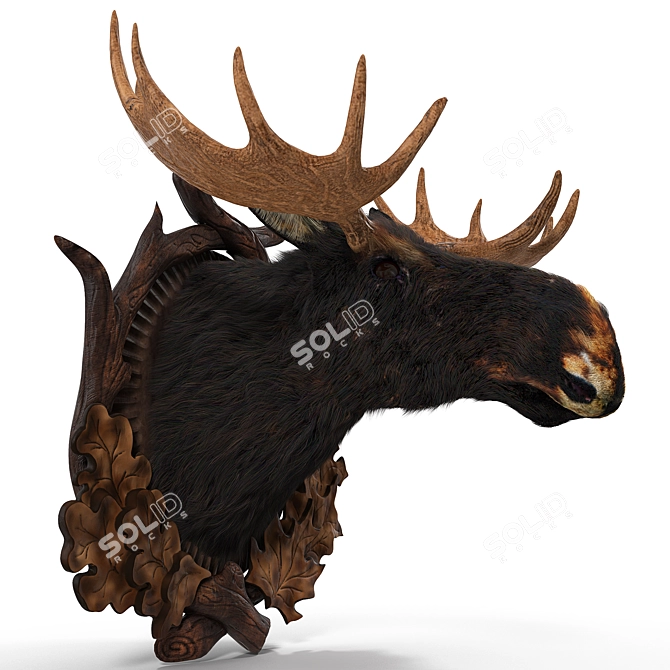 Wooden Medallion with Elk Head 3D model image 2