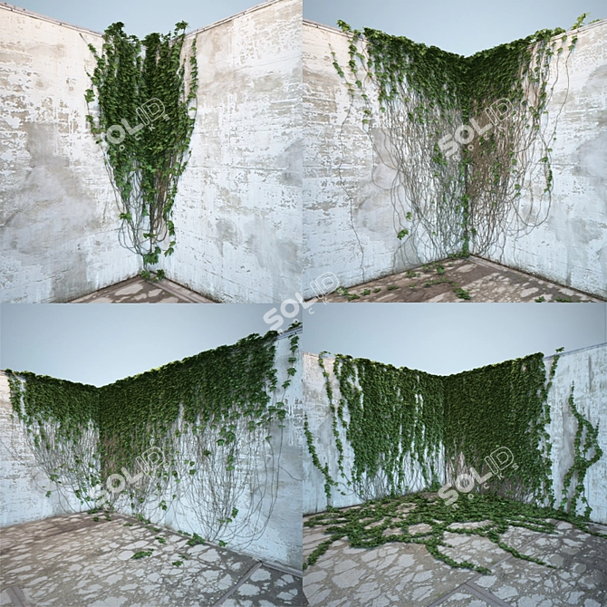 Lush Ivy Collection: 4 Corner Models 3D model image 1