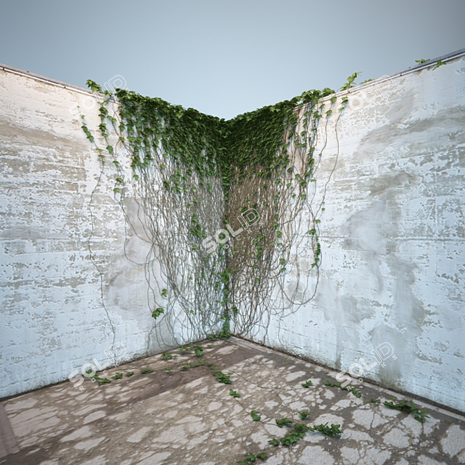 Lush Ivy Collection: 4 Corner Models 3D model image 2