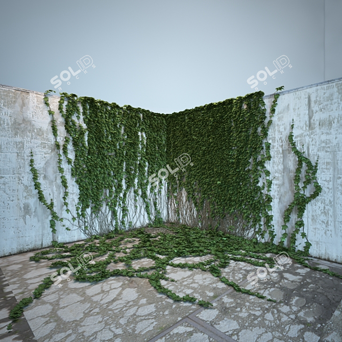 Lush Ivy Collection: 4 Corner Models 3D model image 3