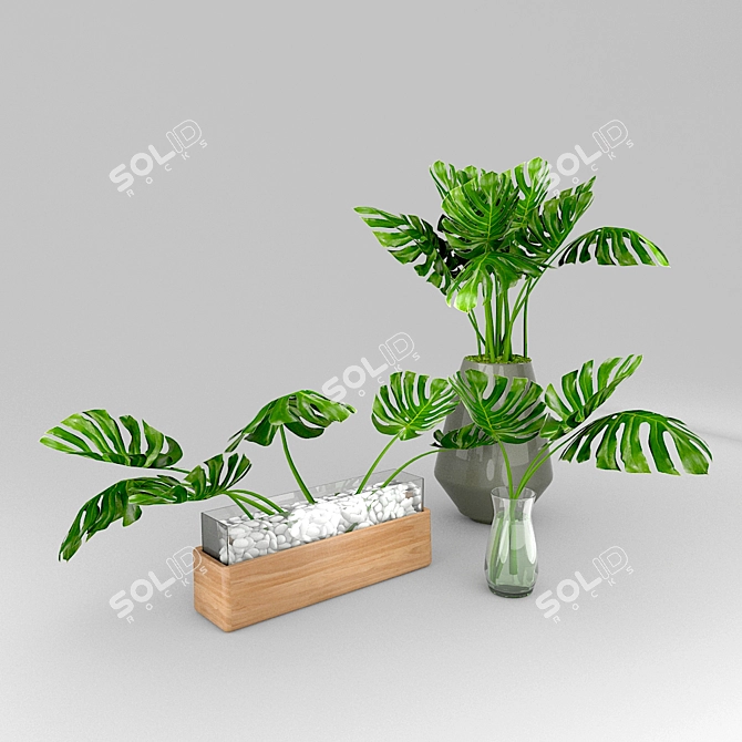 Exotic Oasis: Tropical Plants Collection 3D model image 1