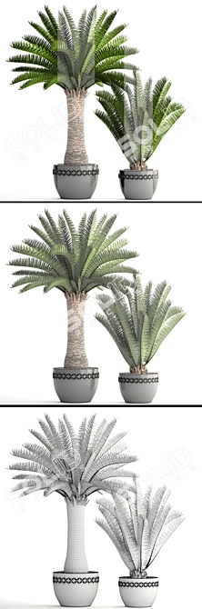 Lush Palm Collection: Phoenix Canariensis 3D model image 3