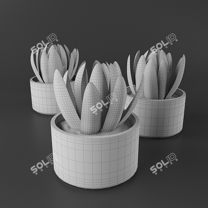 Concrete Succulent Plant Vase 3D model image 2