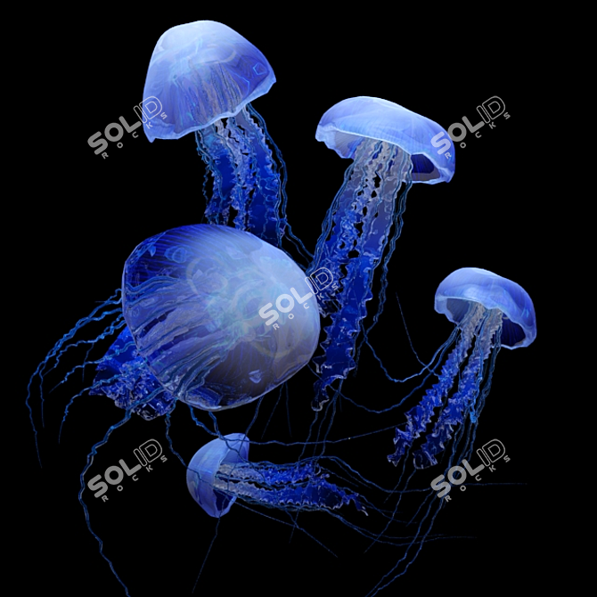 Mesmerizing Jellyfish Aquarium 3D model image 2