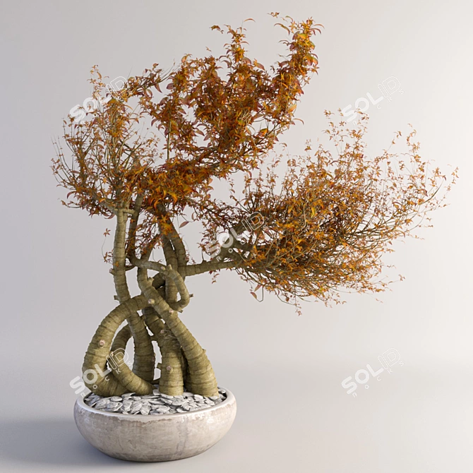 VRay-Ready Miniature Tree 3D model image 2