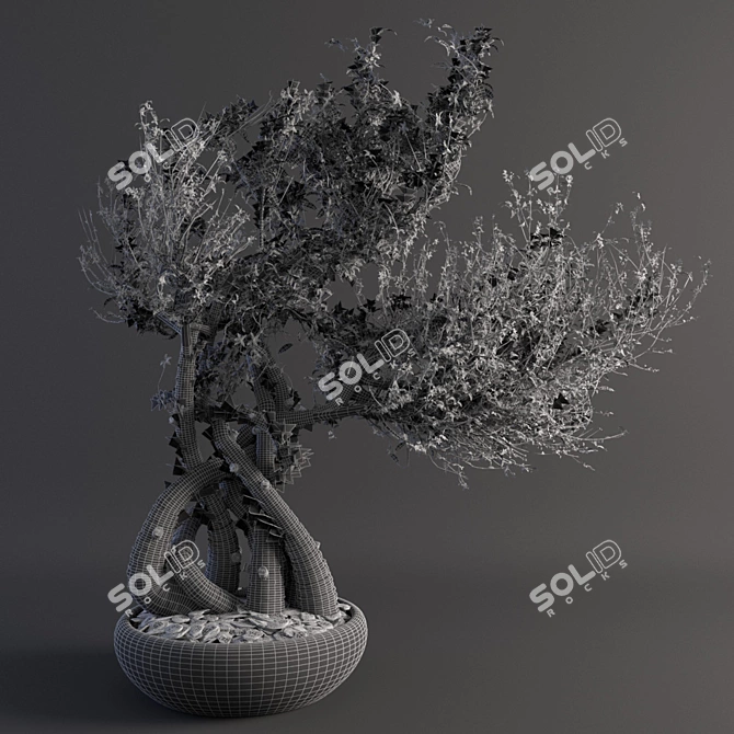 VRay-Ready Miniature Tree 3D model image 3