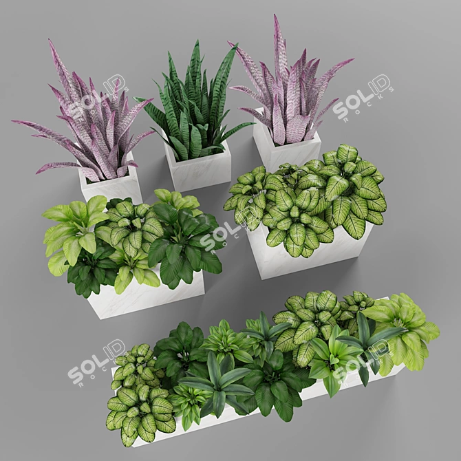 Green Oasis: Plant Collection 3D model image 2