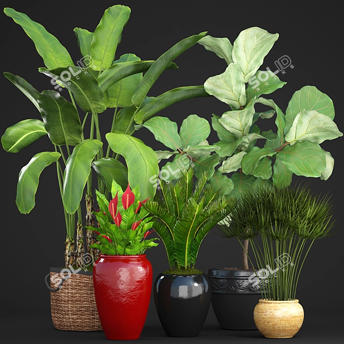 Diverse Tropical Plant Collection 3D model image 1