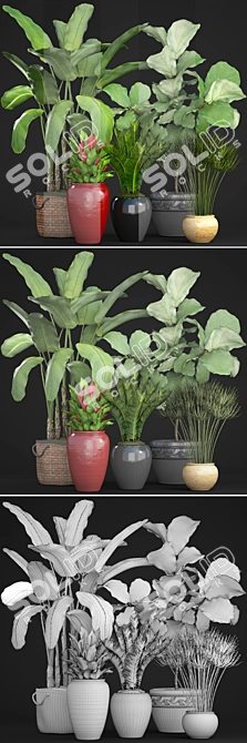 Diverse Tropical Plant Collection 3D model image 3